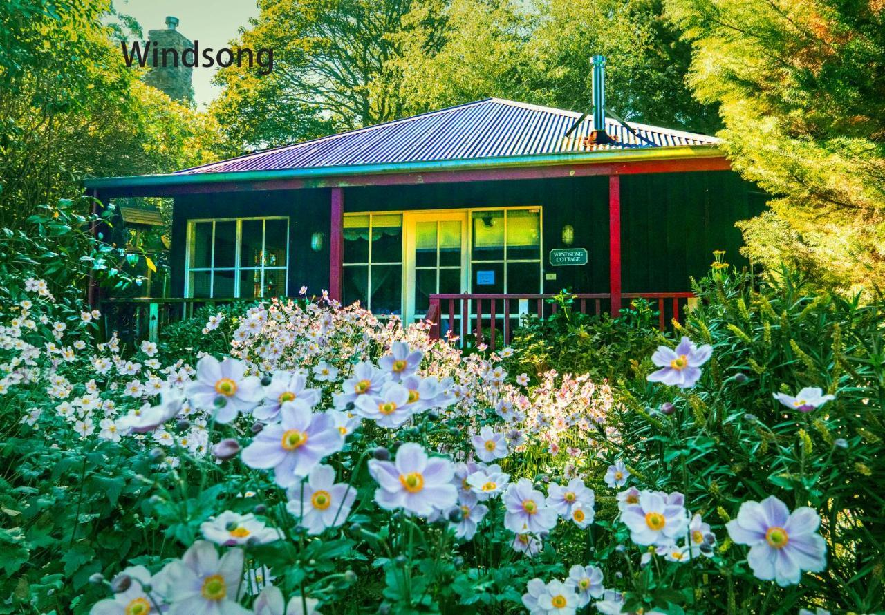 Observatory Cottages Mount Dandenong Eksteriør bilde