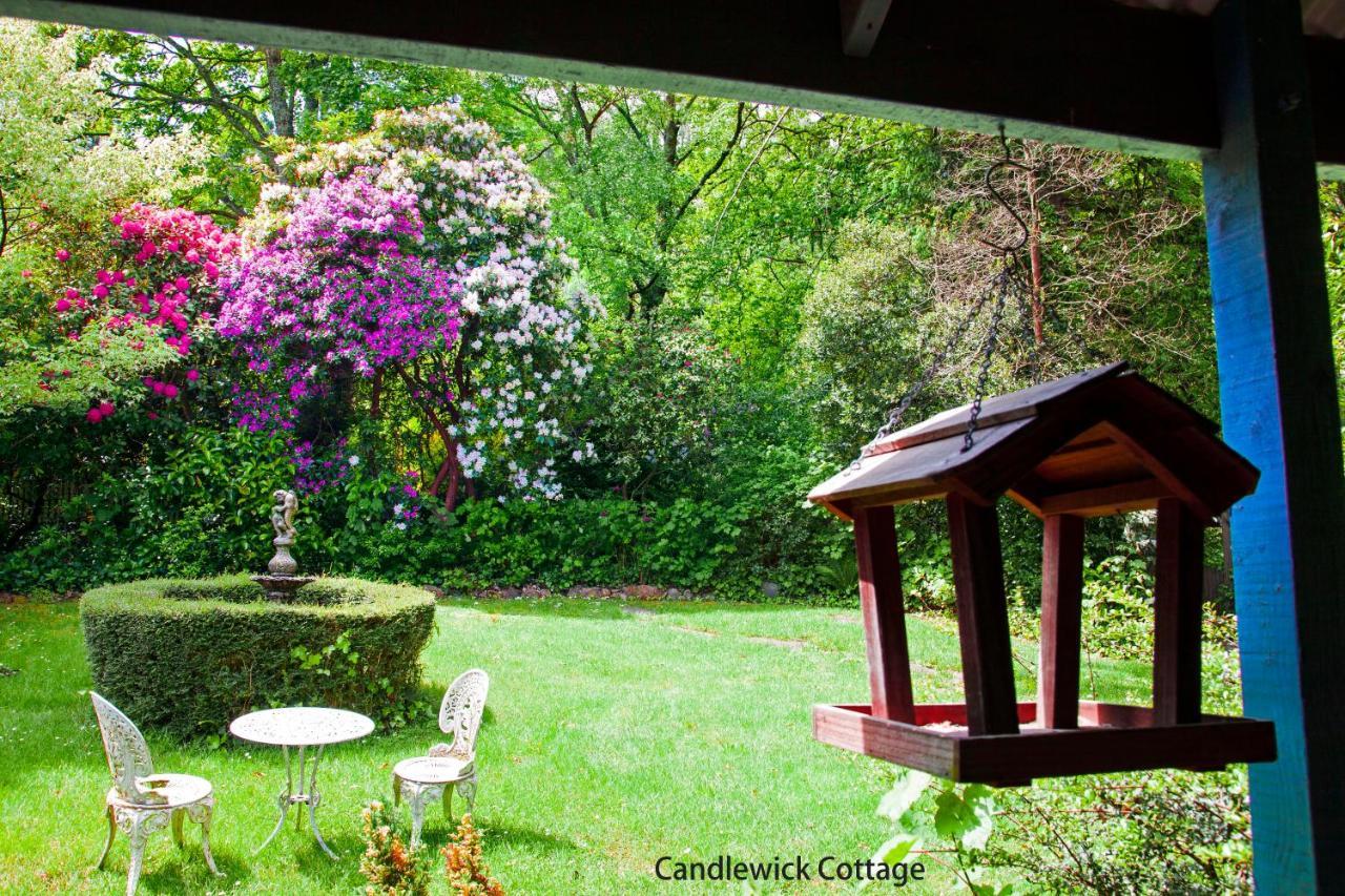 Observatory Cottages Mount Dandenong Eksteriør bilde