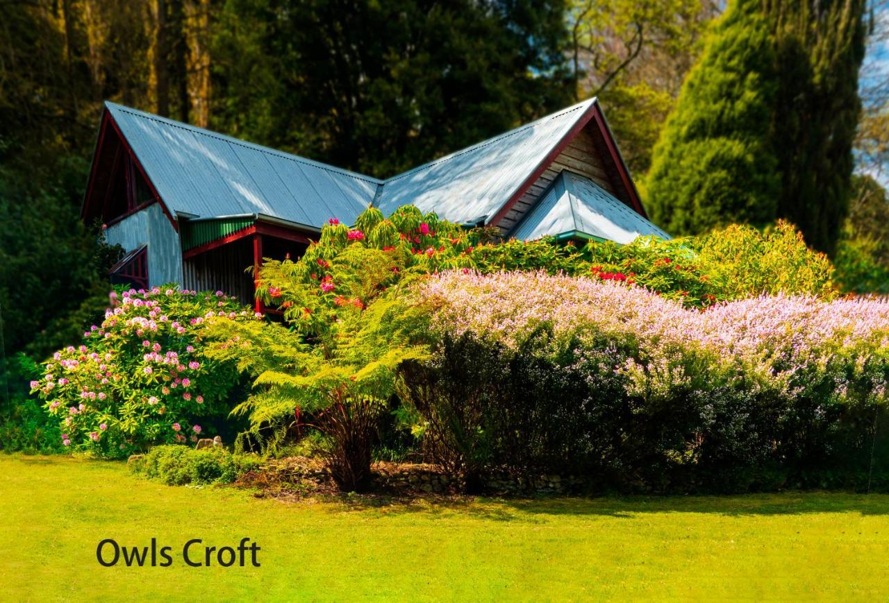 Observatory Cottages Mount Dandenong Eksteriør bilde