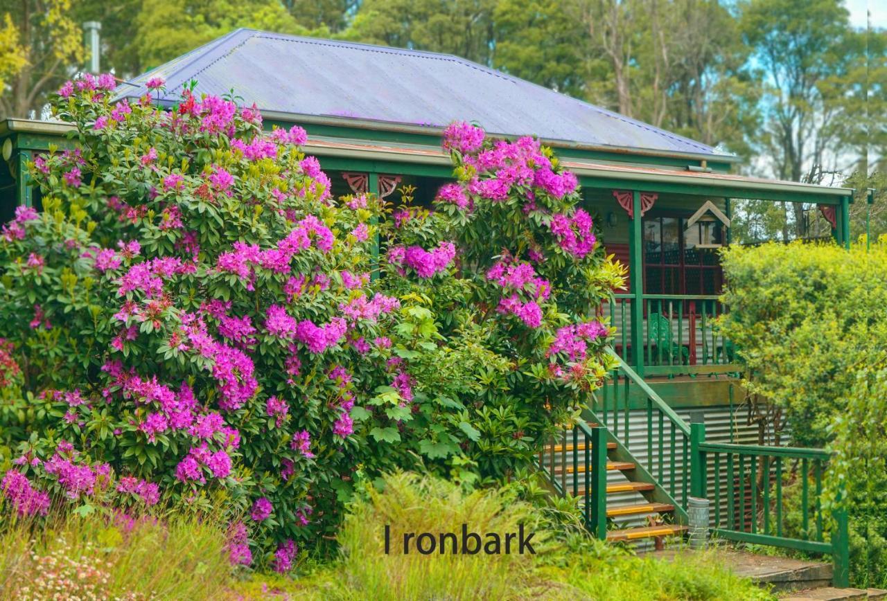 Observatory Cottages Mount Dandenong Eksteriør bilde