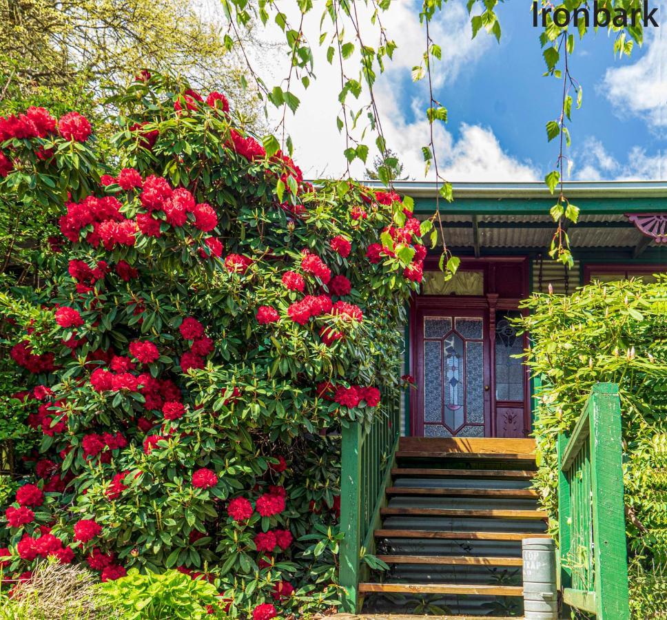 Observatory Cottages Mount Dandenong Eksteriør bilde