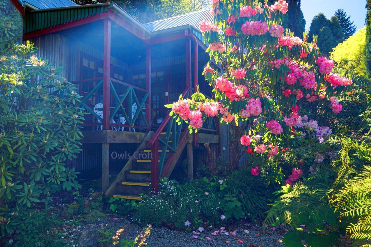 Observatory Cottages Mount Dandenong Eksteriør bilde