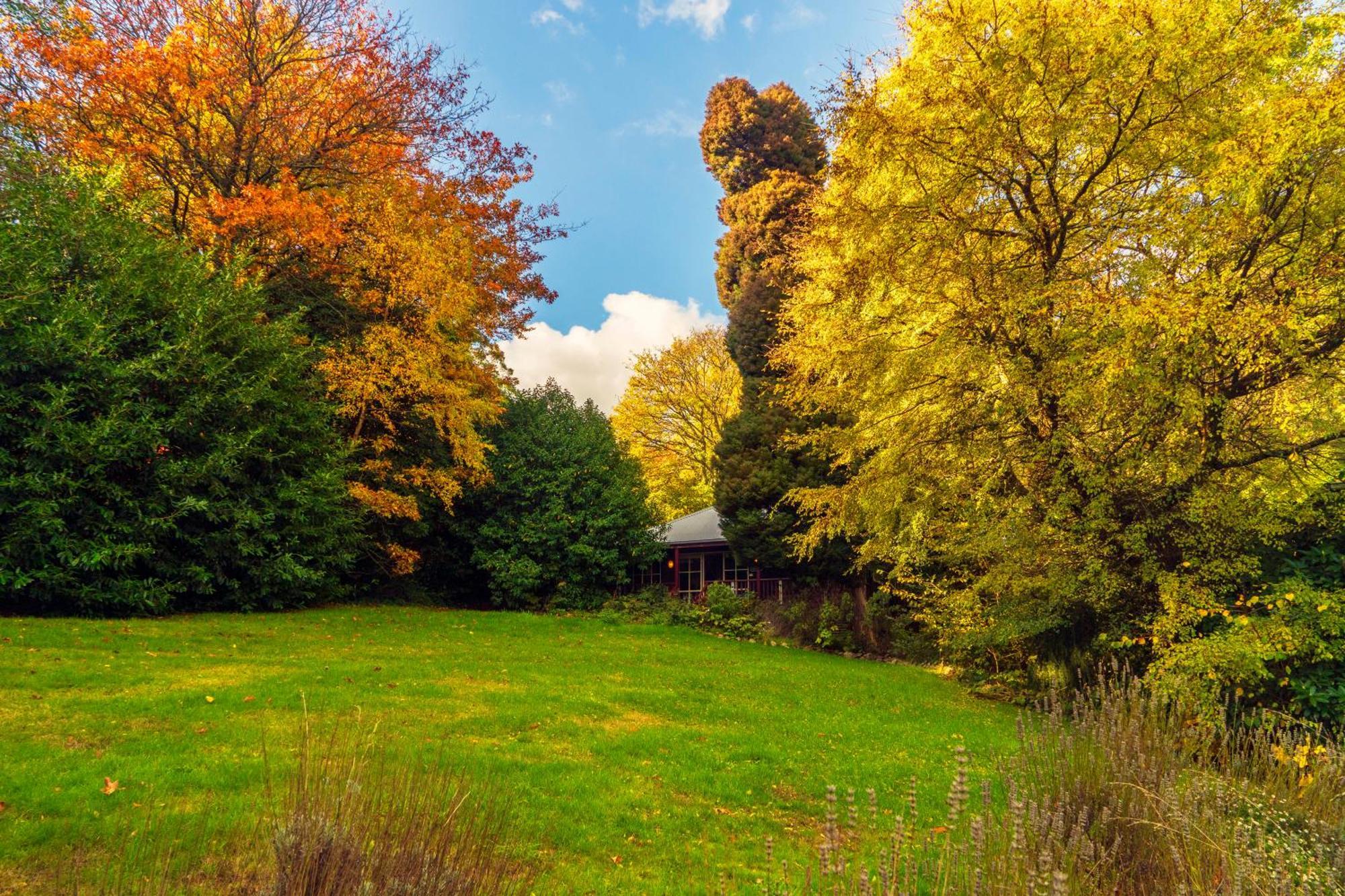 Observatory Cottages Mount Dandenong Rom bilde